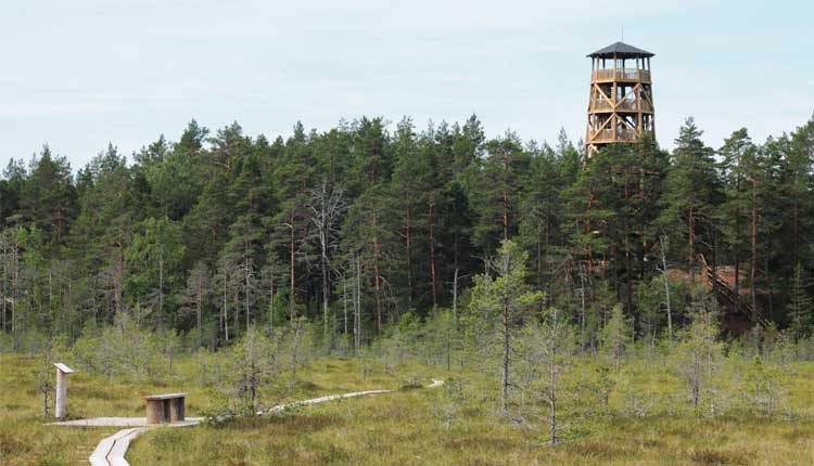 majakivi pikanõmme matkarada