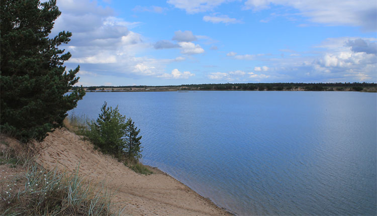 männiku karjäär