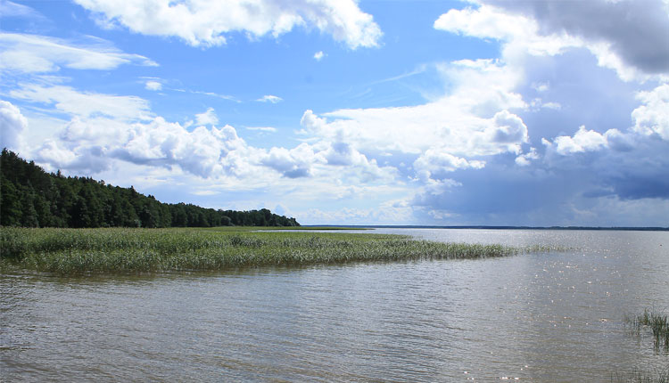 võrtsjärv